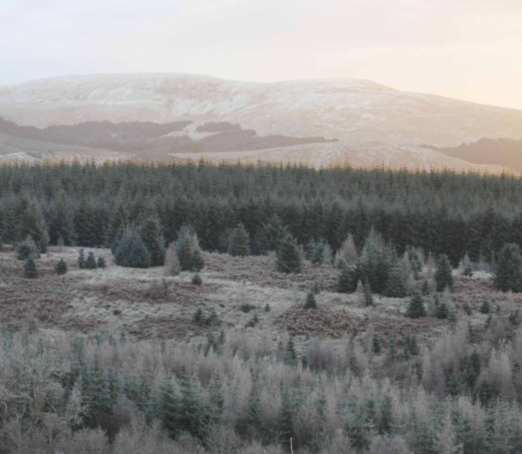 The Coorie Villa Bargrennan Exterior foto